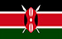 Pannello TGM Guadagna in Kenya