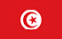Sondaggi TGM per guadagnare in Tunisia